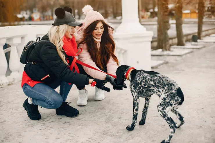 Crate Preparation and Compliance Service